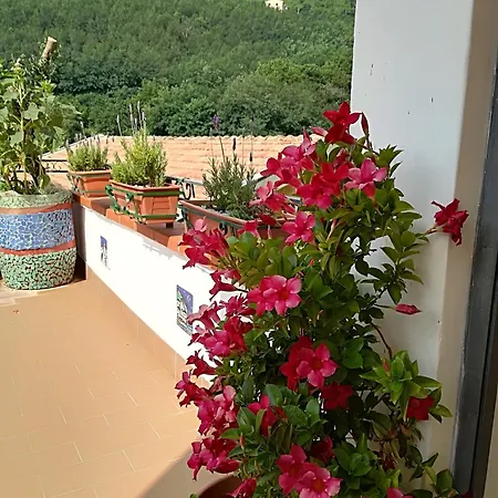Il Covo delle Civette-3
